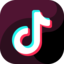 Tiktok Logo